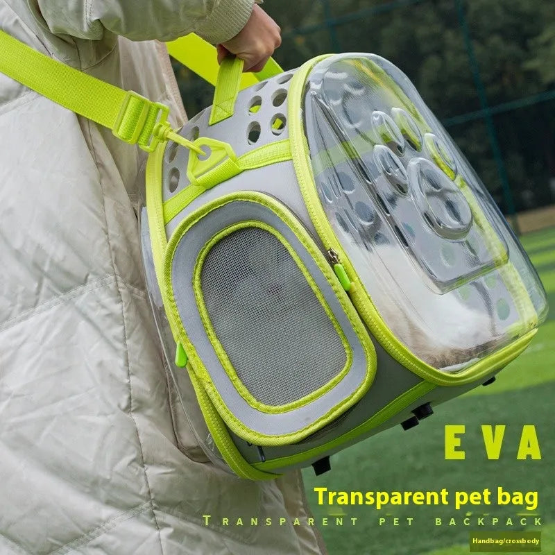 Transparent hard-shell cat backpack carrier showing interior space with colour options