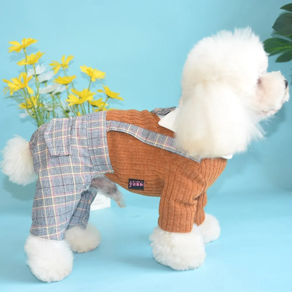 Orange and dark blue cotton dog suit shirt for small breeds in five sizes