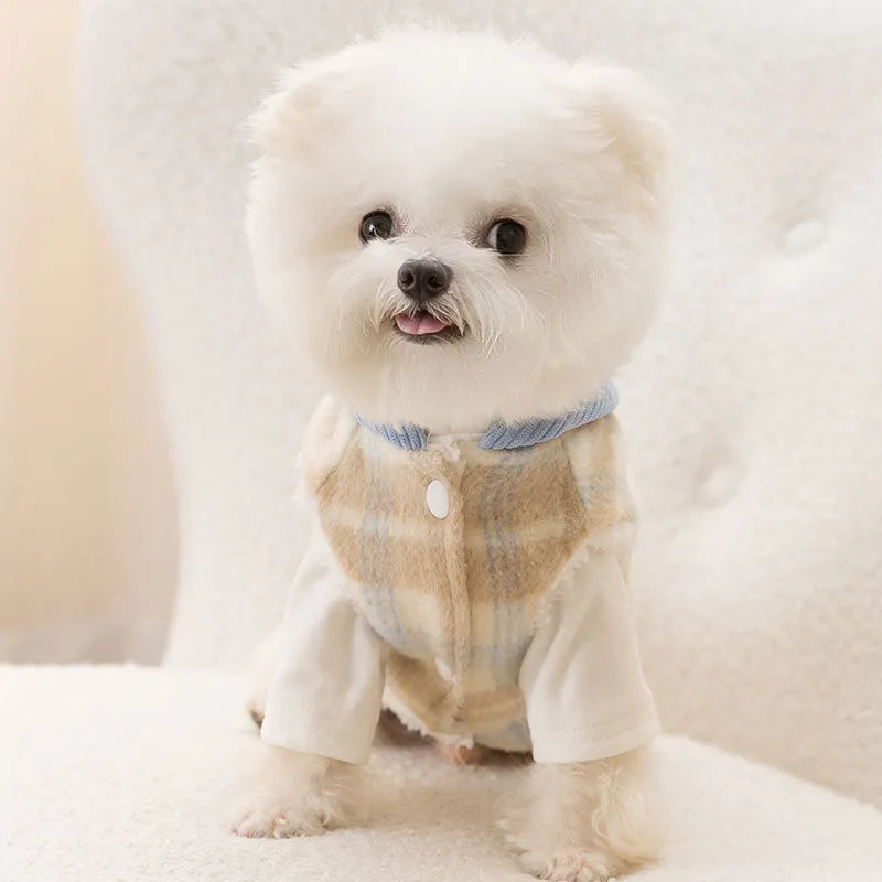 Blue corduroy chessboard grid hooded vest for dog on autumn background