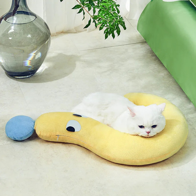 Blue rectangular pet cushion measuring 62cm by 39cm on a floor.