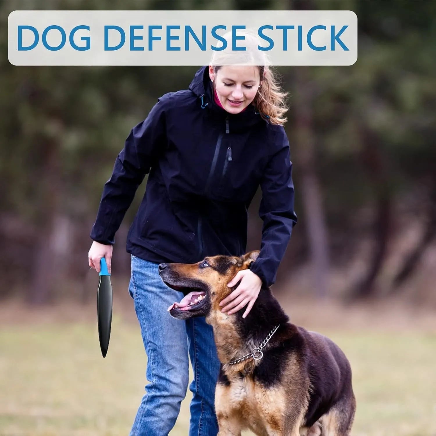 35cm long dog training stick with coloured handle for small medium dogs