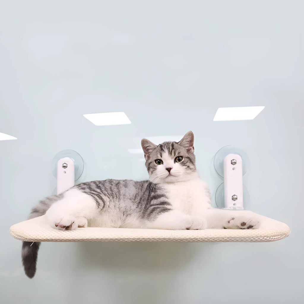 Foldable cat hammock with stainless steel suction cups attached to a window, showing beige mesh fabric option.