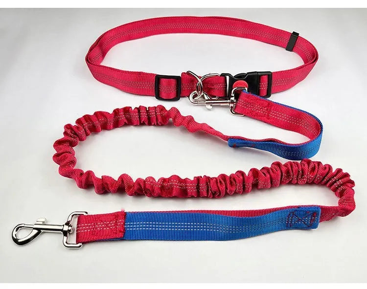 Grey and green reflective dog leash with elastic section shown on a table.