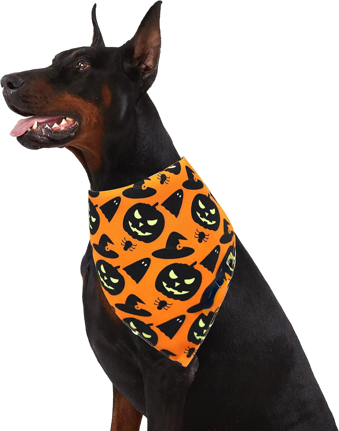 Reversible Halloween dog bandana showing pumpkin and spider web designs in black and orange colours with adjustable neck closure
