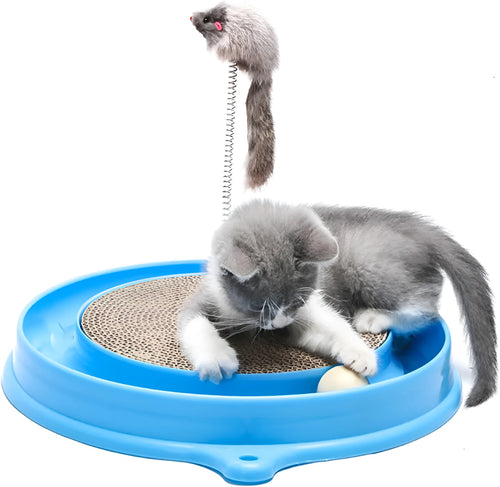 Blue cat scratcher toy with circular ball track and replaceable cardboard scratching surface