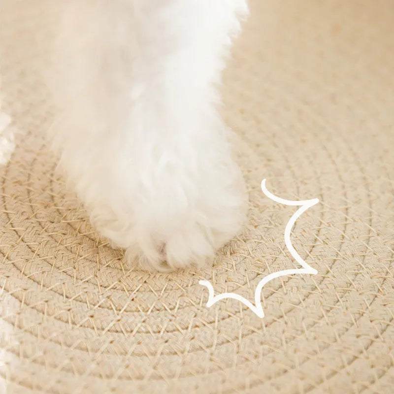 Green oval sisal cat scratching pad serving as a lounging bed, dimensions 650mm by 420mm.