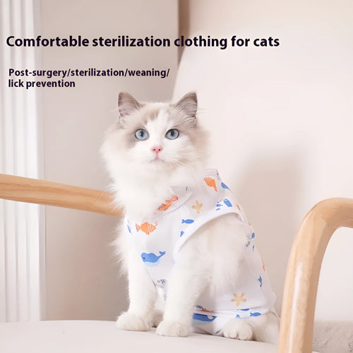 Cat wearing polyester sterilisation suit with velcro closure for postoperative wound protection