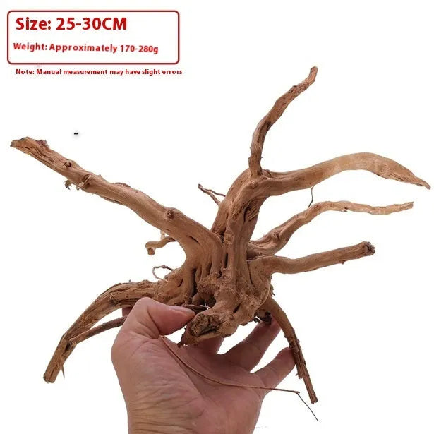 Xiaoqi root wood ornament for aquarium decoration on white background