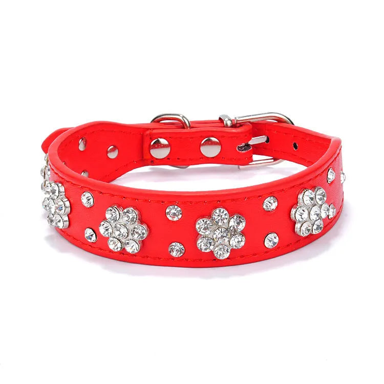 Black PU leather dog collar with rhinestone flower pattern and metal D-ring on a small dog.