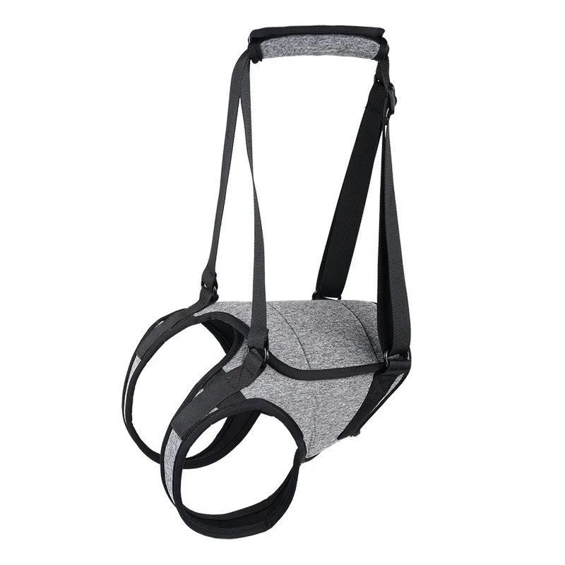 Grey neophene dog rear leg recovery support belt with adjustable waist and thigh straps
