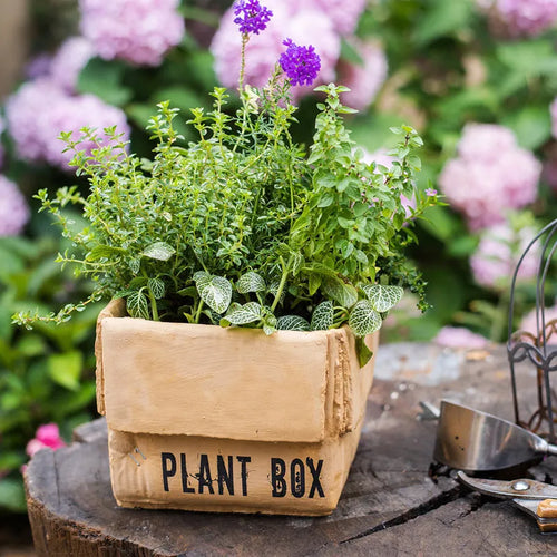 Cement brown paper box style flowerpot with bottom drainage hole for indoor balcony gardening
