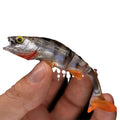T-tail catfish fishing lures in fish colour pattern soft plastic baits for sea and freshwater angling