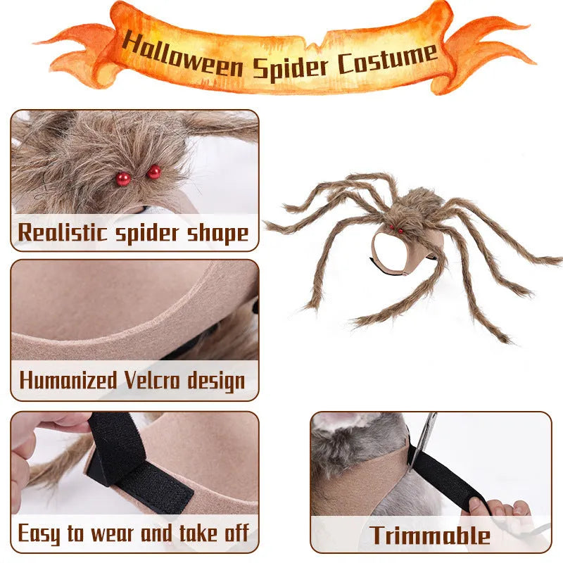 Halloween spider costume for pets in polyester with S M L sizes