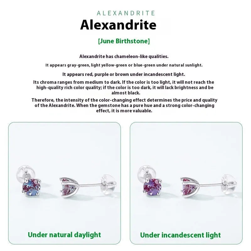 925 silver geometric ear studs with round Alexander stone for women