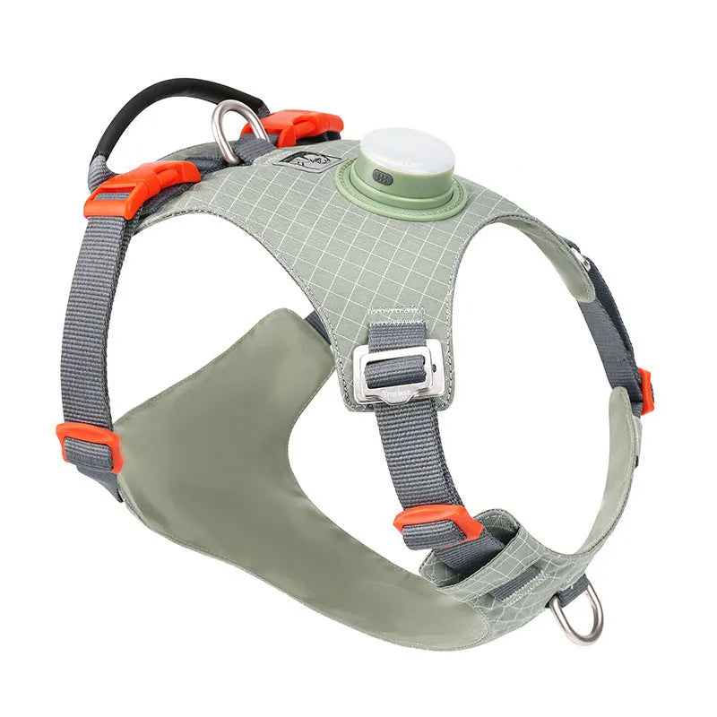 Dog wearing a nylon chest harness with integrated LED night light for evening walk safety