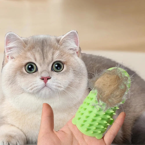 Silicone cat self-grooming brush with comb teeth and adjustable strap for table legs.