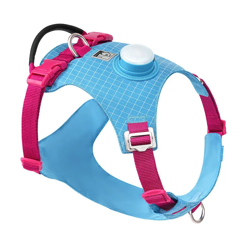 Dog wearing a nylon chest harness with integrated LED night light for evening walk safety