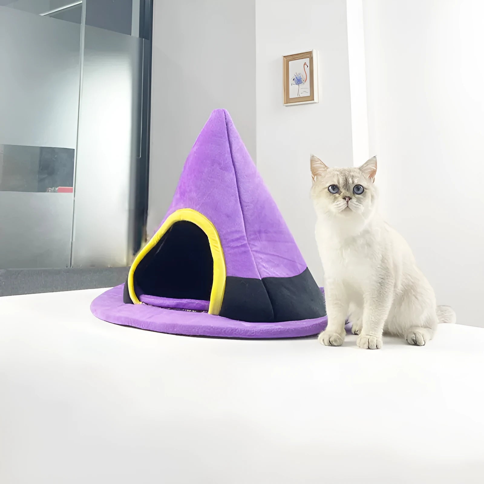 Purple cloth cat nest in Halloween witch hat shape measuring 60x45cm for small pets