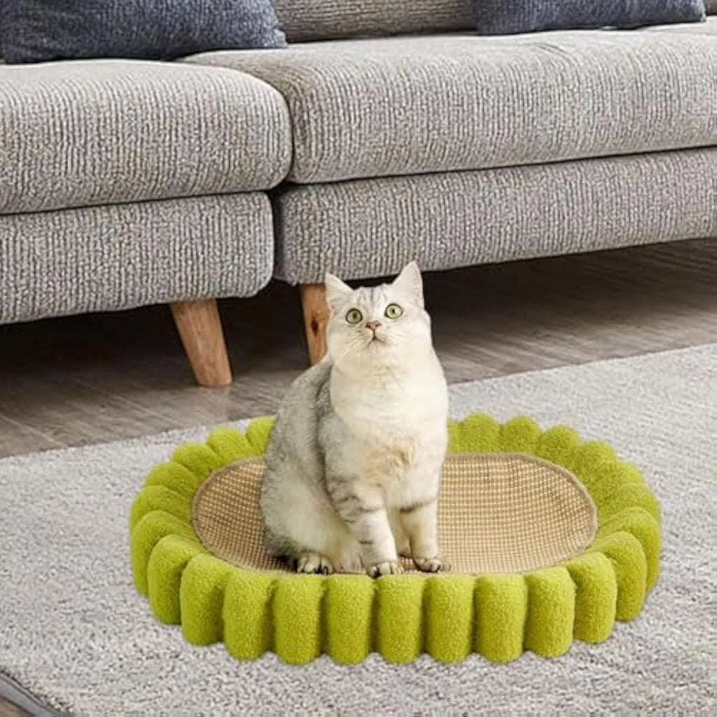Green oval sisal cat scratching pad serving as a lounging bed, dimensions 650mm by 420mm.