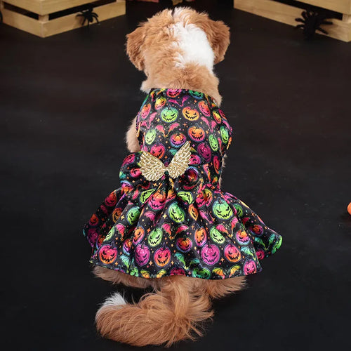 Angel wings Halloween dog costume in bright pumpkin colour on pet