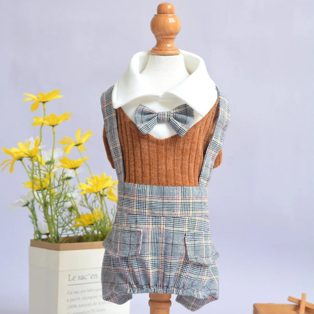 Orange and dark blue cotton dog suit shirt for small breeds in five sizes