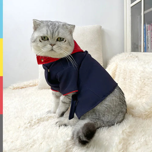 Reversible tiger stripe fleece hoodie costume for a small dog on a photo backdrop.