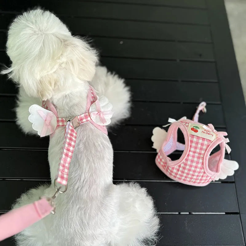Small dog wearing a black cotton chest and back harness with an attached hand-held rope lead.