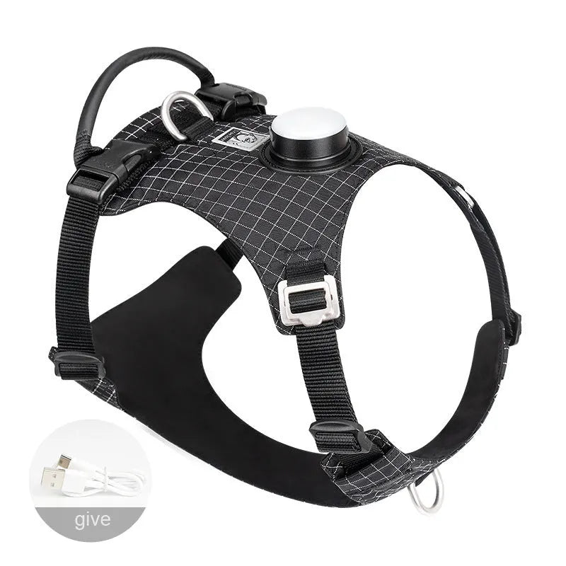 Dog wearing a nylon chest harness with integrated LED night light for evening walk safety