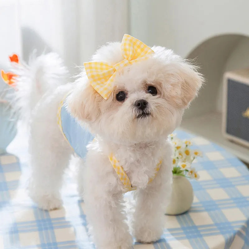 Small dog wearing heart texture elastic vest with bow suspenders in Bondi Blue colour