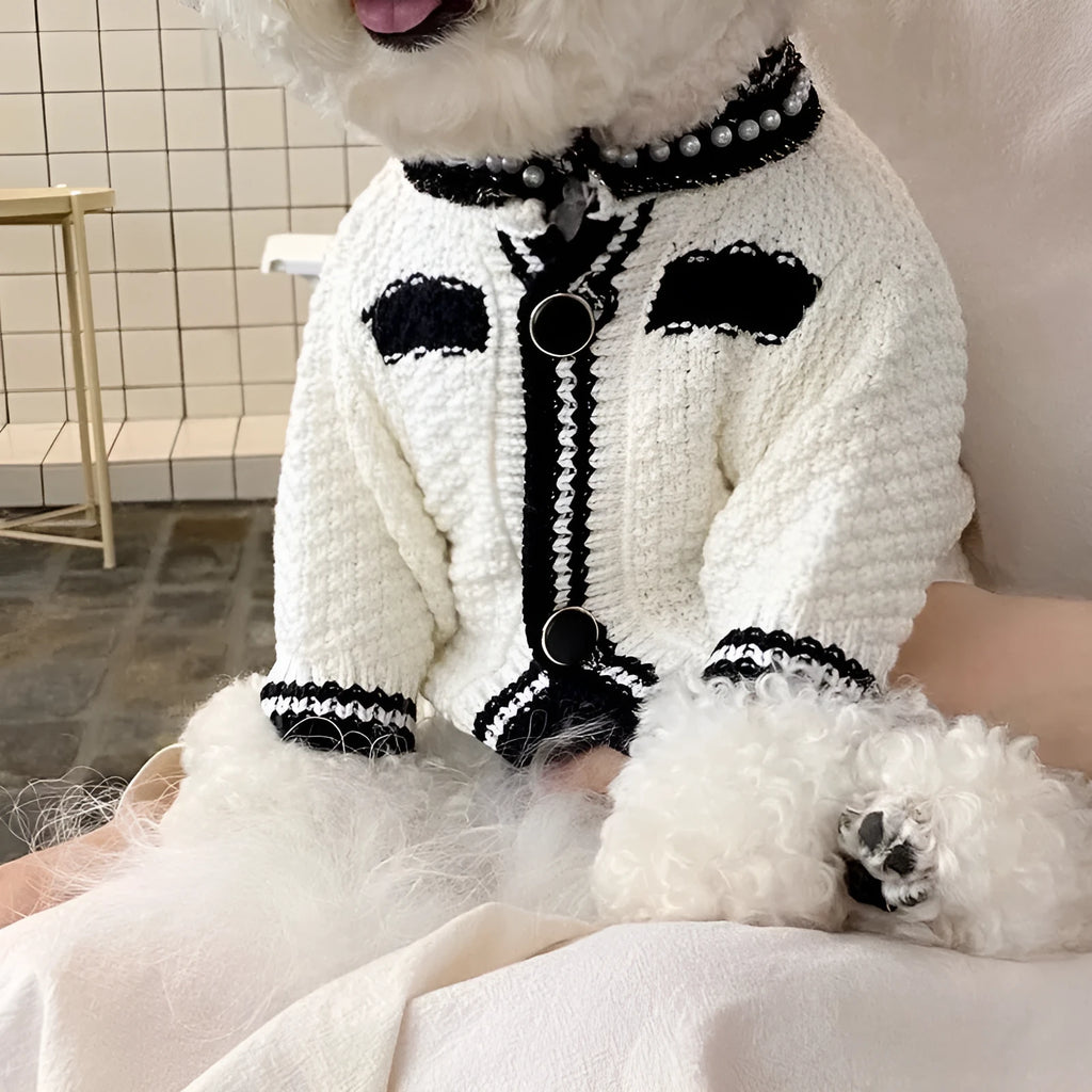 Korean-style white puppy sweater with pearl collar on small dog showing princess cut design