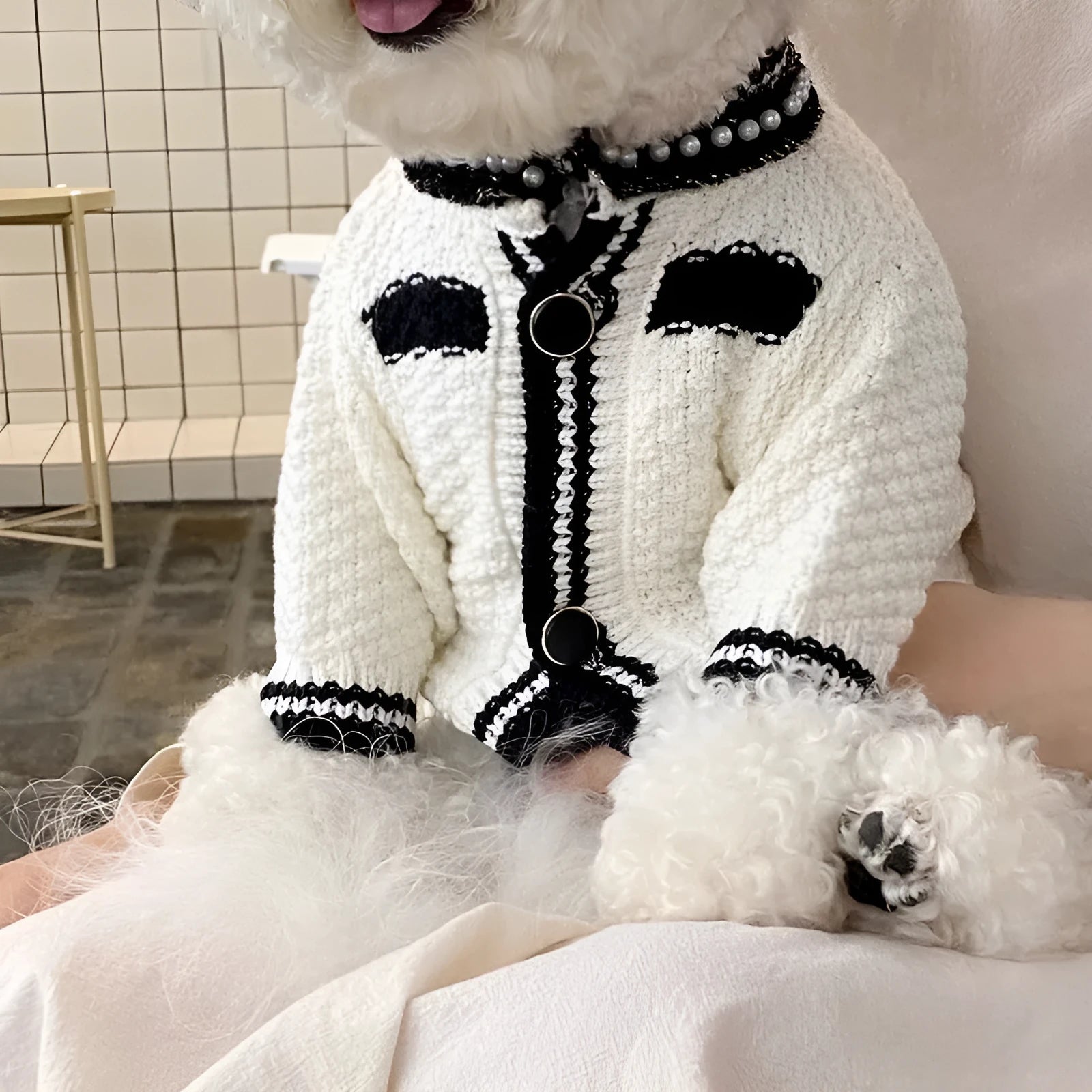 Korean-style white puppy sweater with pearl collar on small dog showing princess cut design