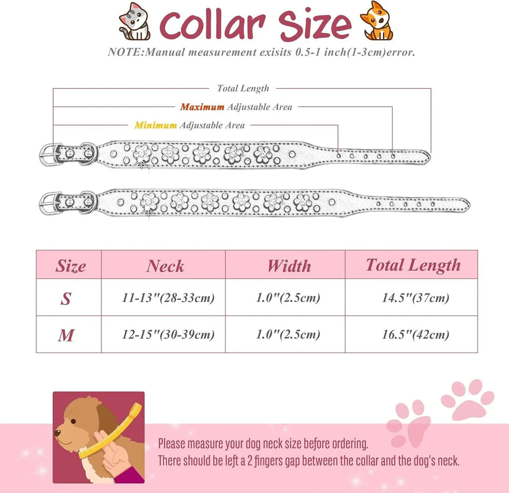 Black PU leather dog collar with rhinestone flower pattern and metal D-ring on a small dog.