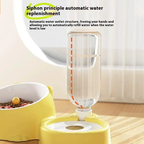 Automatic cat drinking basin with stainless steel ceramic design and separate food bowl in haze blue colour