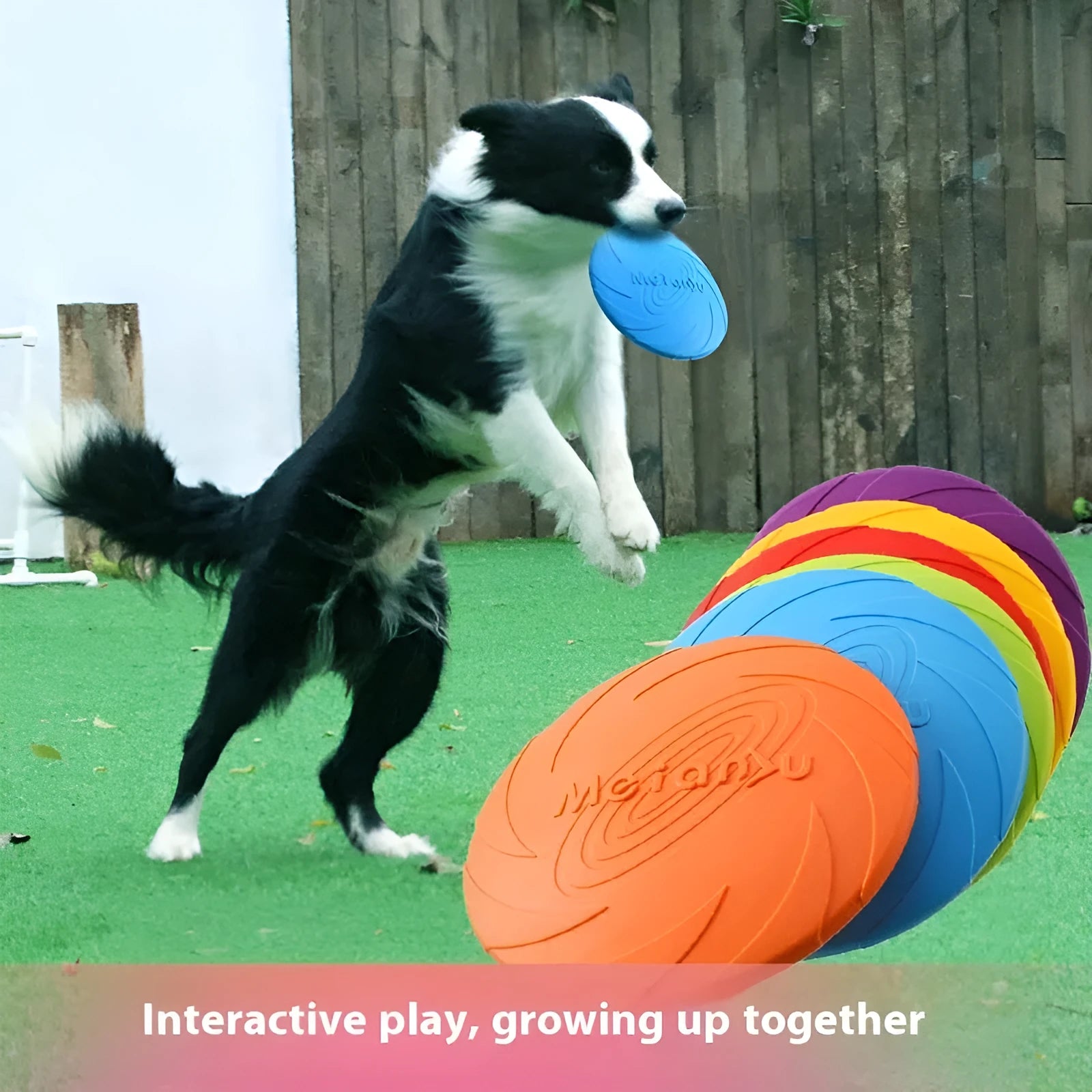 A soft rubber dog frisbee flying disc toy for outdoor fetch, shown in a choice of blue, green, or red.