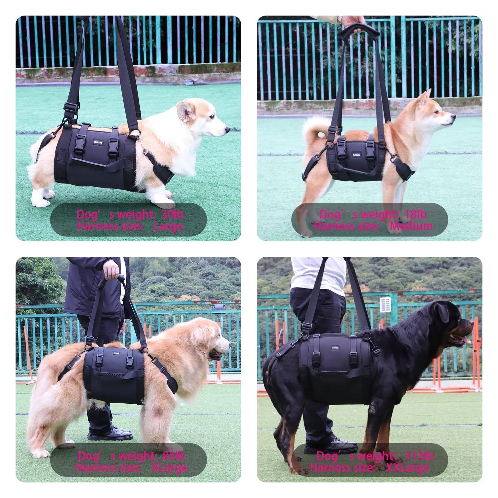Black Oxford cloth dog harness with adjustable leg support straps for pet rehabilitation in sizes M to XXL