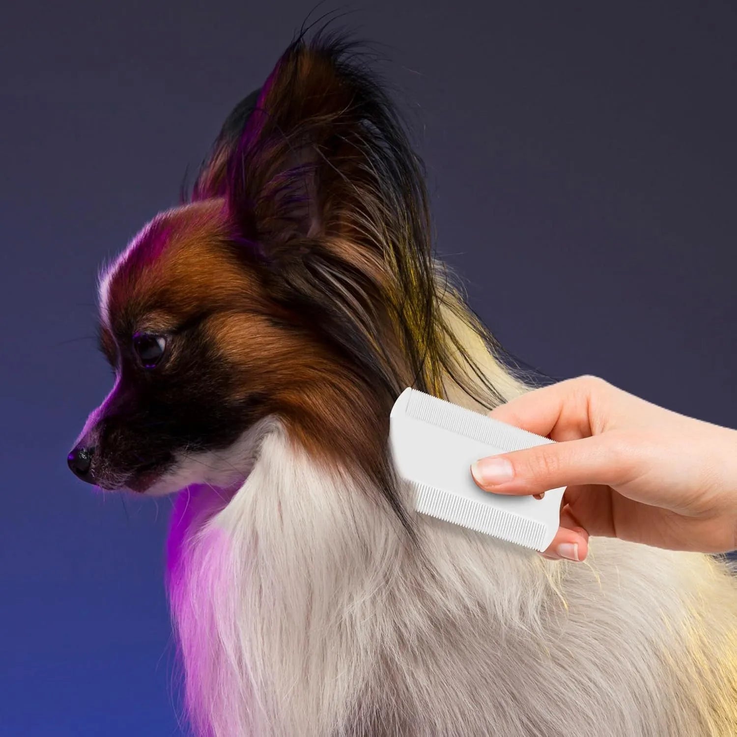 Double-sided plastic flea comb for pets with dense teeth, 0.85 cm by 5 cm