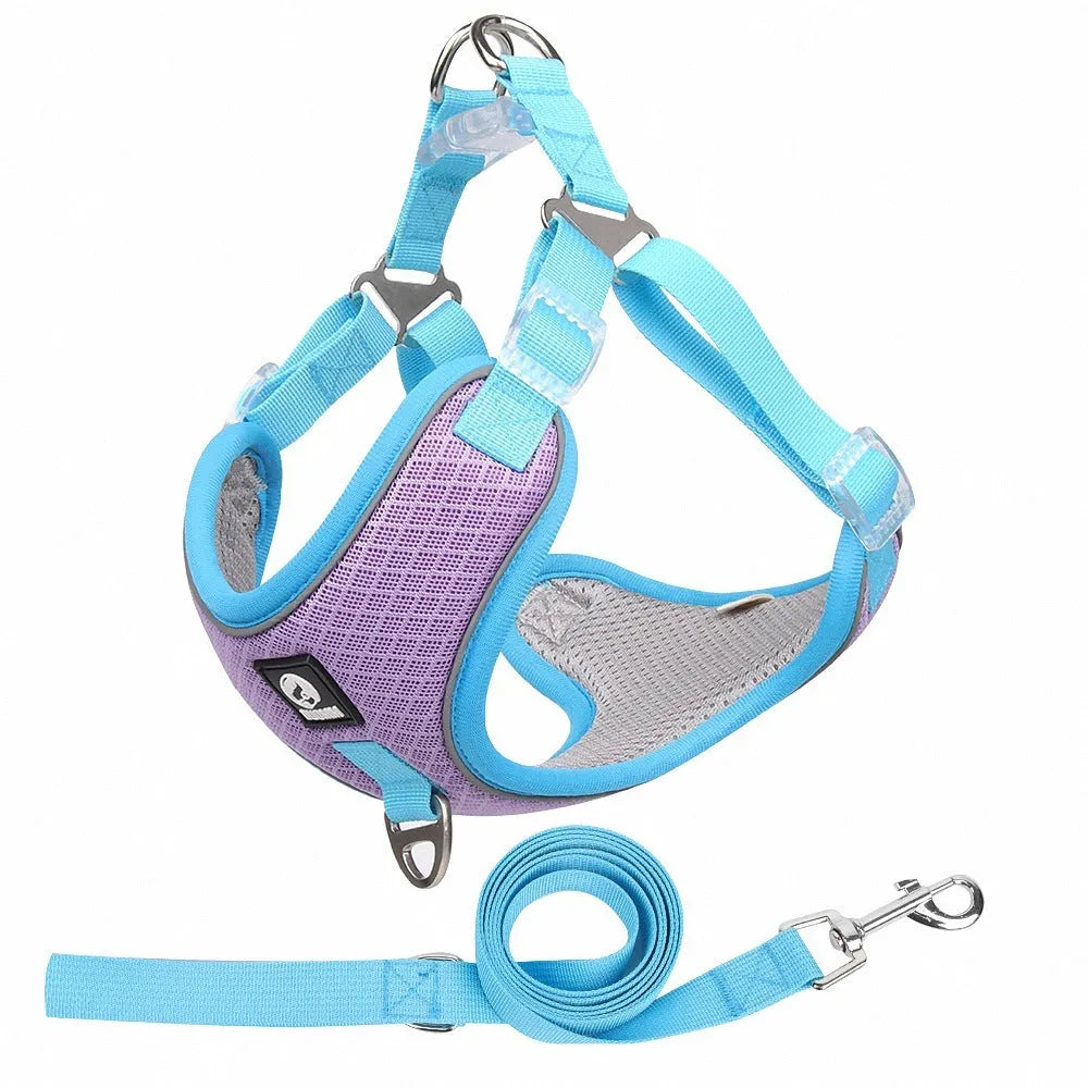 Adjustable breathable mesh dog harness with reflective piping in black colour showing chest strap design